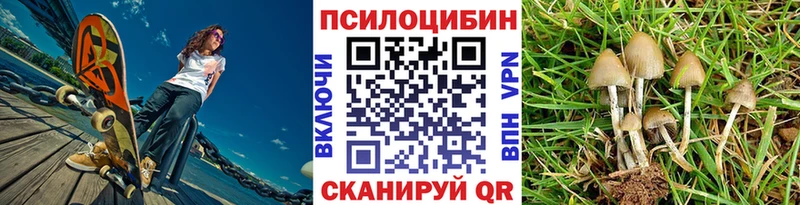 Галлюциногенные грибы Cubensis  Сысерть 
